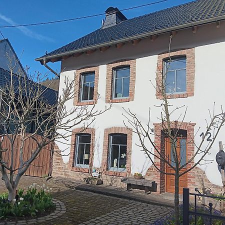 Eifler Brunnenhaus Villa Dumpelfeld ภายนอก รูปภาพ